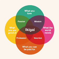 Ikigai meaning